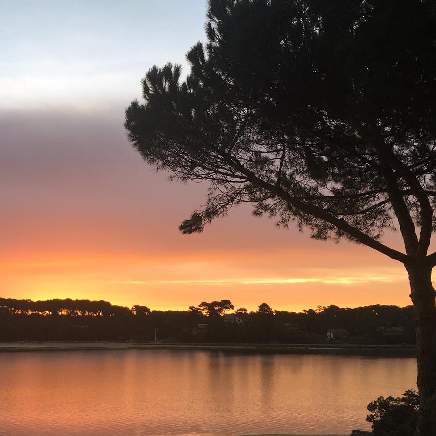 Hotel Les Hortensias Du Lac Soorts-Hossegor Dış mekan fotoğraf